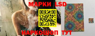 индика Заволжье