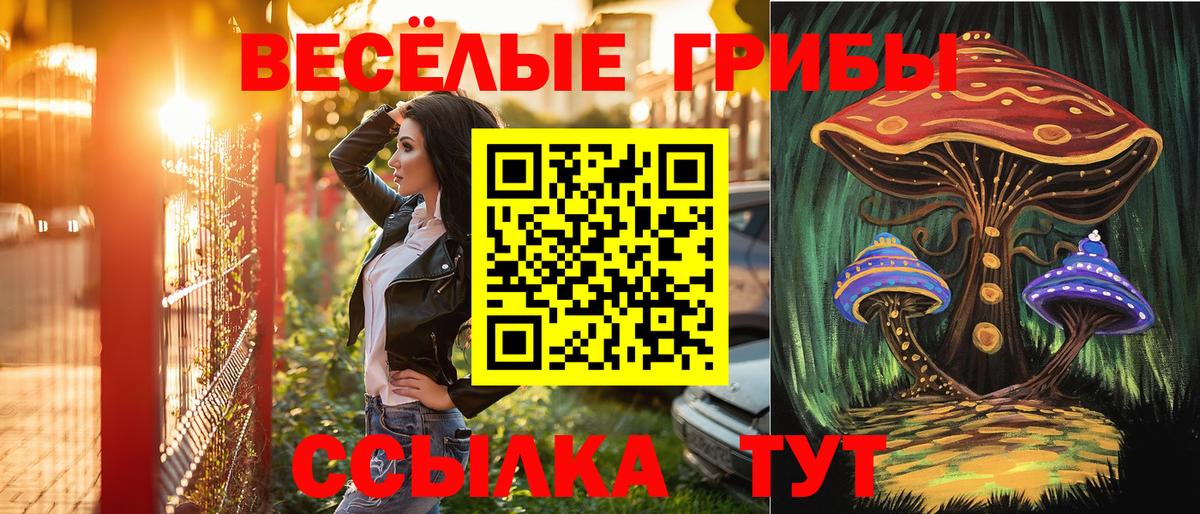 Галлюциногенные грибы Psilocybine cubensis Лабинск