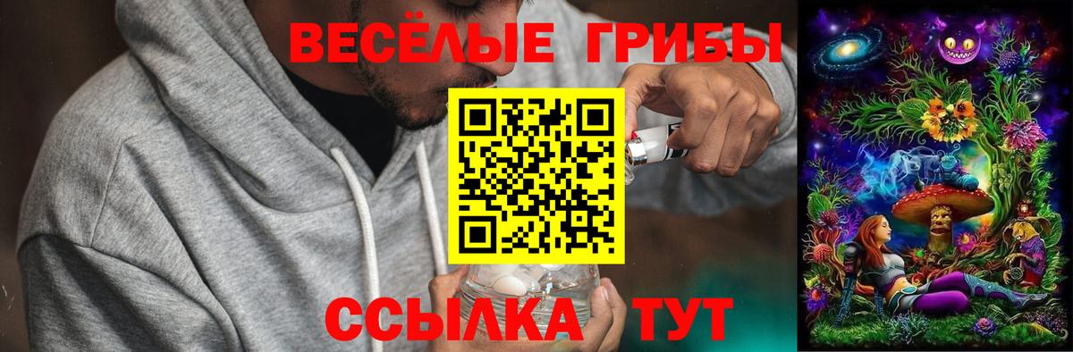 Лабинск  Псилоцибиновые грибы Magic Shrooms  Вход с VPN  Псилоцибиновые грибы Cubensis 
